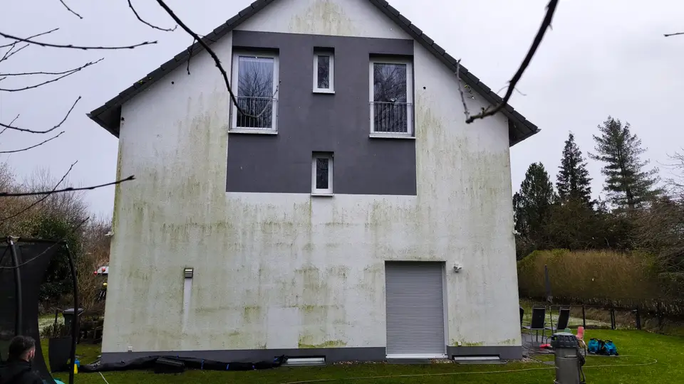 Fassade vor der Reinigung