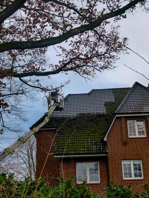 Gereinigtes Dach nach dem Einsatz unseres Teams