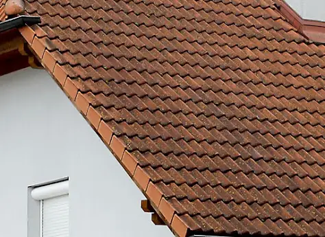 Verschmutztes Ziegeldach vor der Reinigung