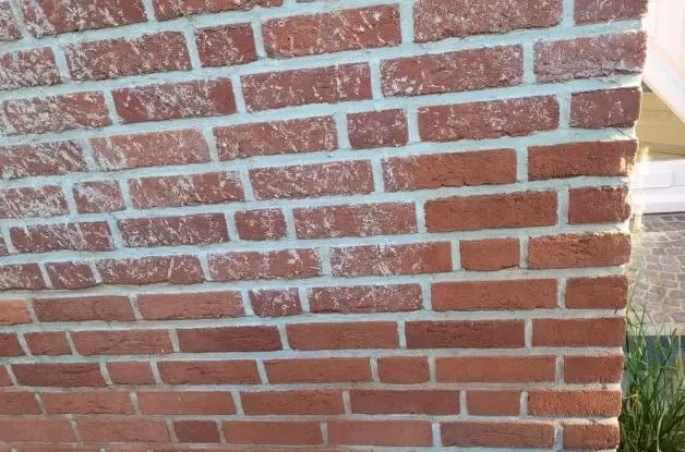 Efeuspuren an einer Fassade vor dem Trockeneisstrahlen