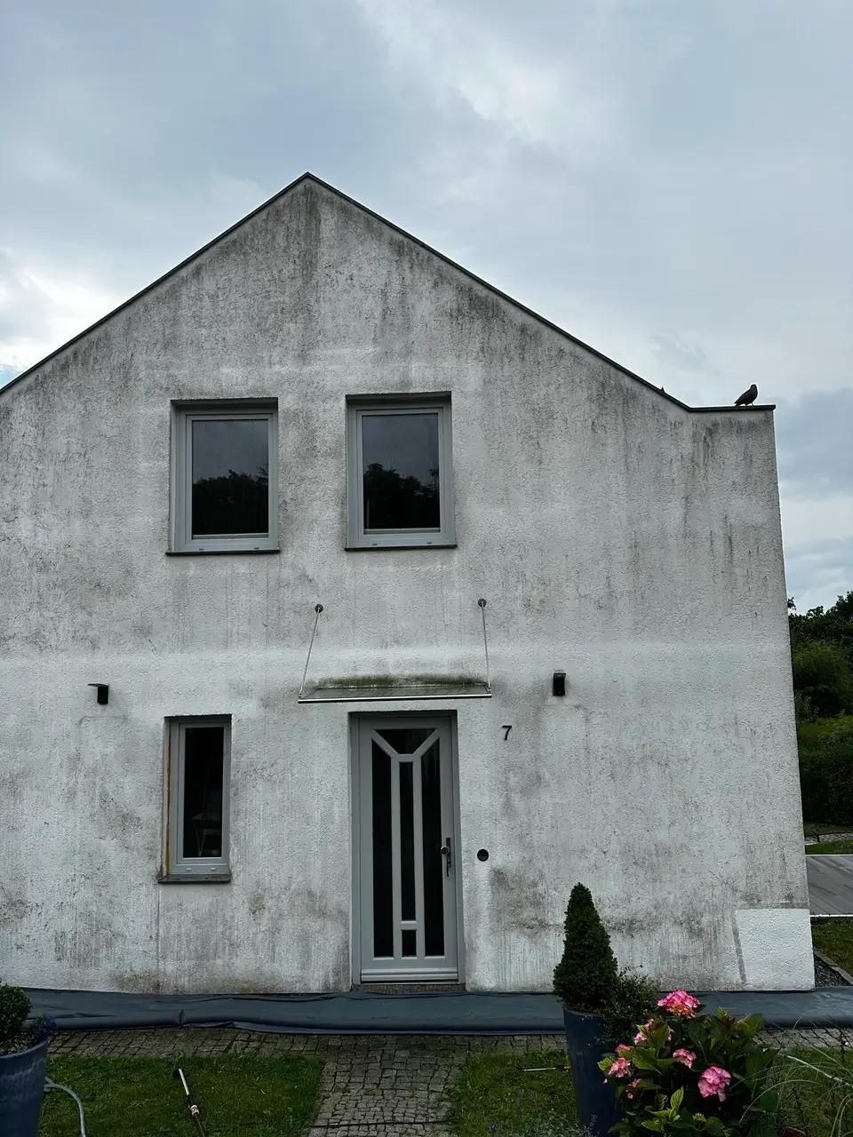 Gebäudefassade vor der Reinigung