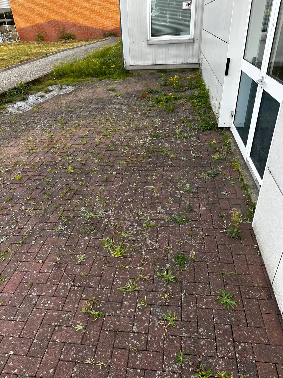 Gepflasterte Einfahrt in Oldenburg vor der Reinigung
