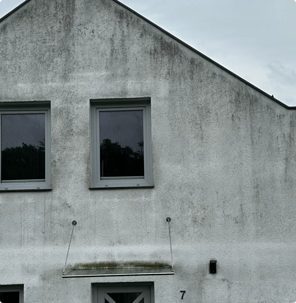 Fassade vor der Reinigung