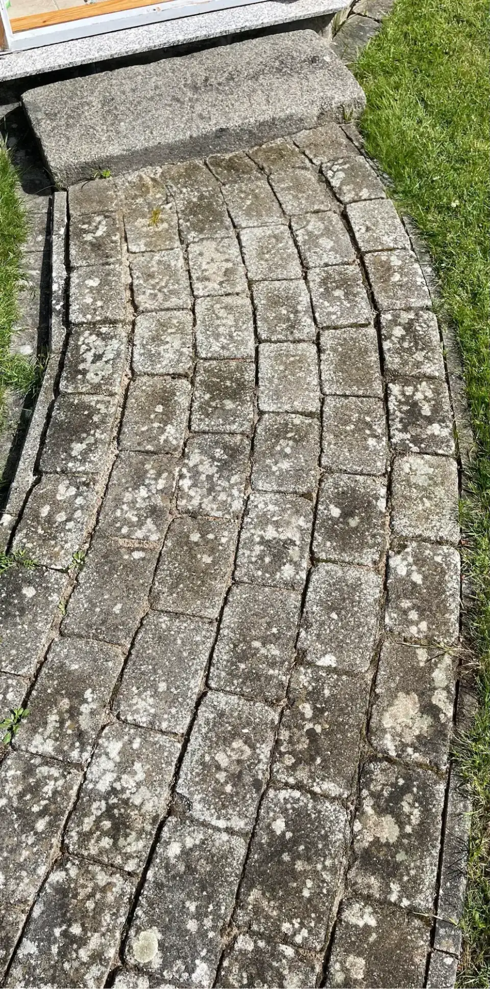 Steinterrasse vor der Reinigung