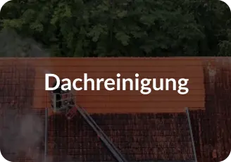 Dachreinigung